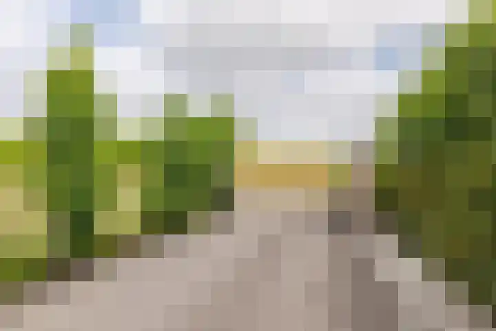 Oudemolensedijk 2 b Fijnaart thumbnail 63