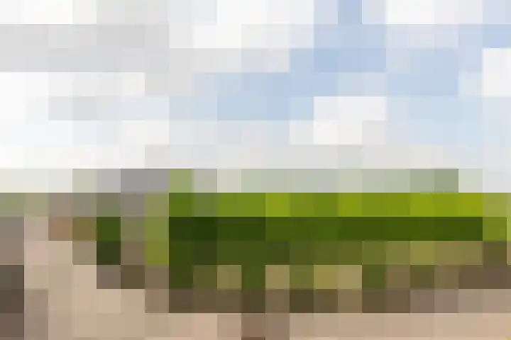 Oudemolensedijk 2 b Fijnaart thumbnail 64