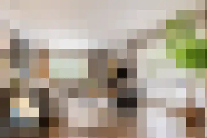 Oudemolensedijk 2 b Fijnaart thumbnail 7