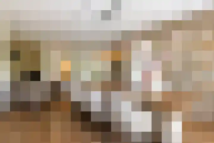 Oudemolensedijk 2 b Fijnaart thumbnail 9