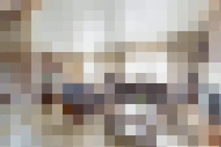 Oudemolensedijk 35 Fijnaart thumbnail 10