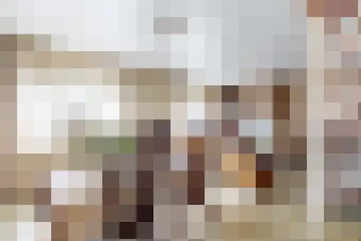 Oudemolensedijk 35 Fijnaart thumbnail 13