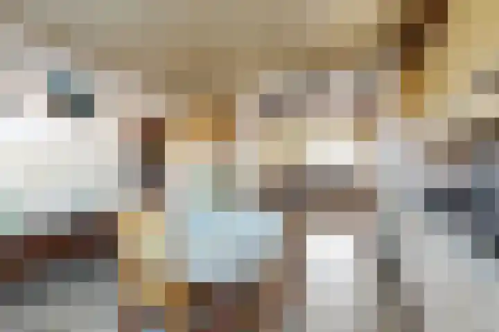 Oudemolensedijk 35 Fijnaart thumbnail 14