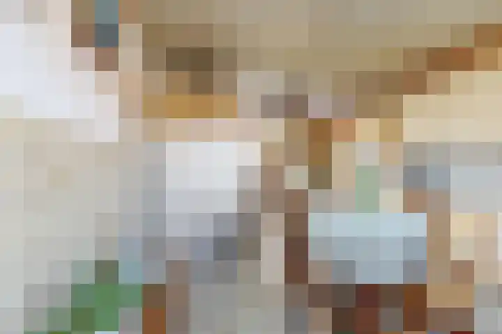 Oudemolensedijk 35 Fijnaart thumbnail 16