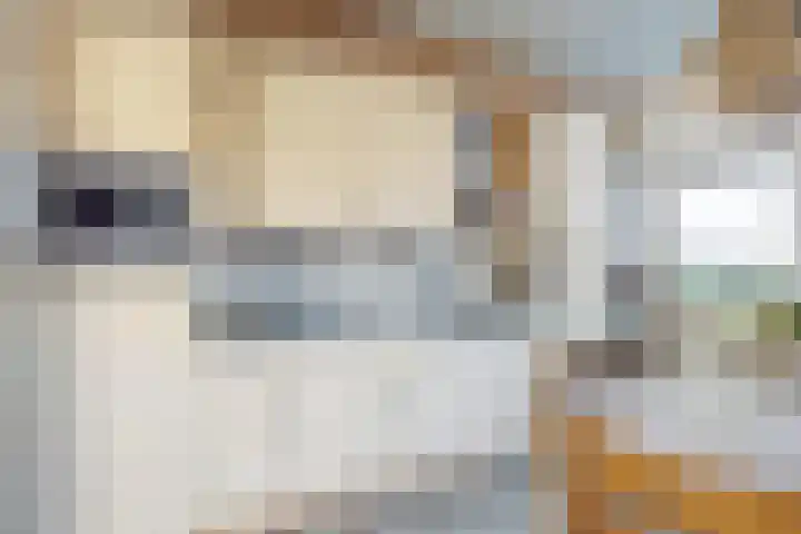 Oudemolensedijk 35 Fijnaart thumbnail 17