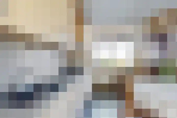 Oudemolensedijk 35 Fijnaart thumbnail 18