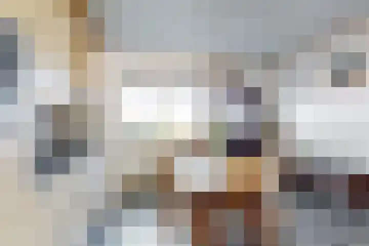 Oudemolensedijk 35 Fijnaart thumbnail 19