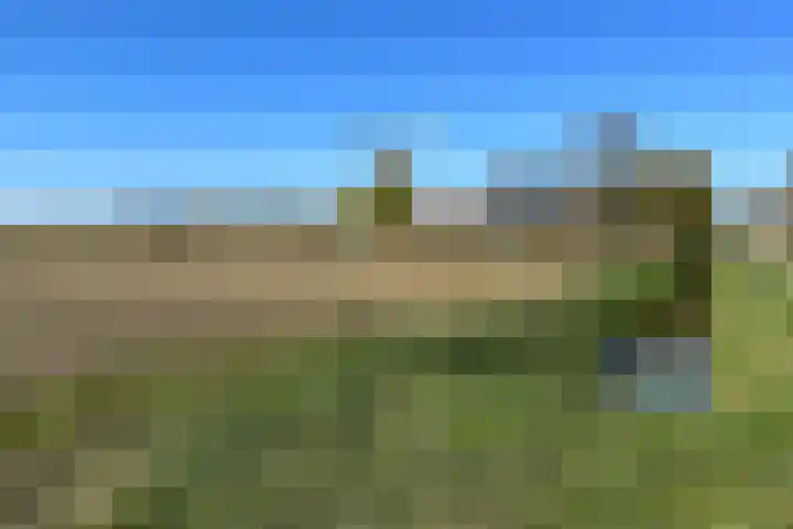 Oudemolensedijk 35 Fijnaart foto 2