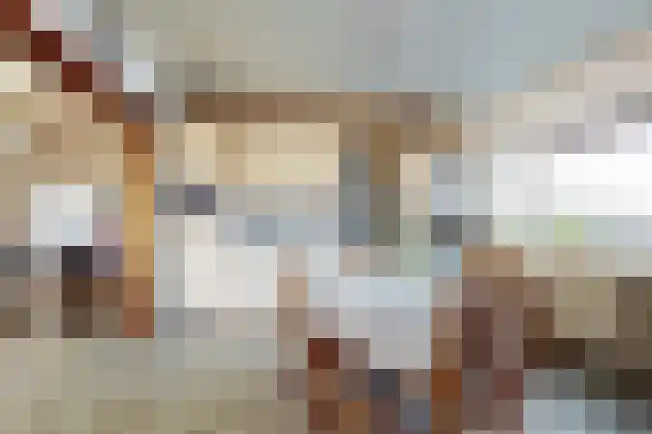 Oudemolensedijk 35 Fijnaart thumbnail 20