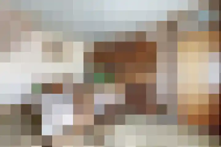 Oudemolensedijk 35 Fijnaart thumbnail 21