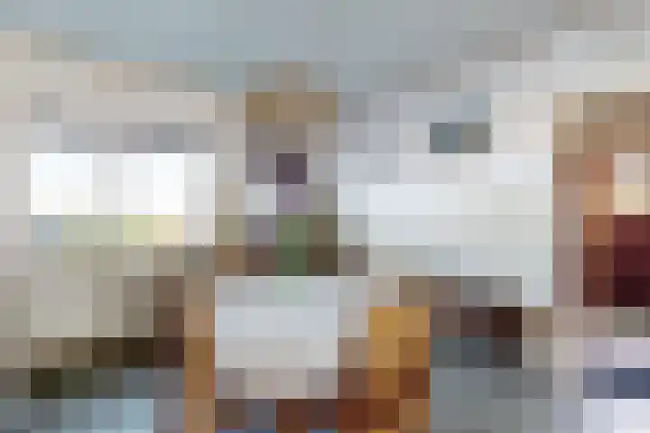 Oudemolensedijk 35 Fijnaart thumbnail 22