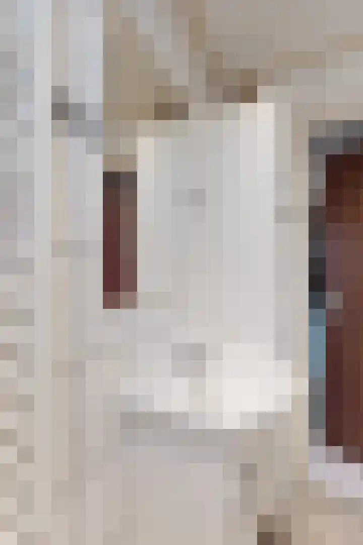 Oudemolensedijk 35 Fijnaart thumbnail 23