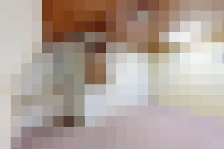 Oudemolensedijk 35 Fijnaart thumbnail 27