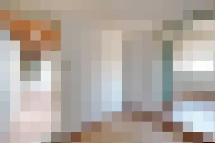 Oudemolensedijk 35 Fijnaart thumbnail 30
