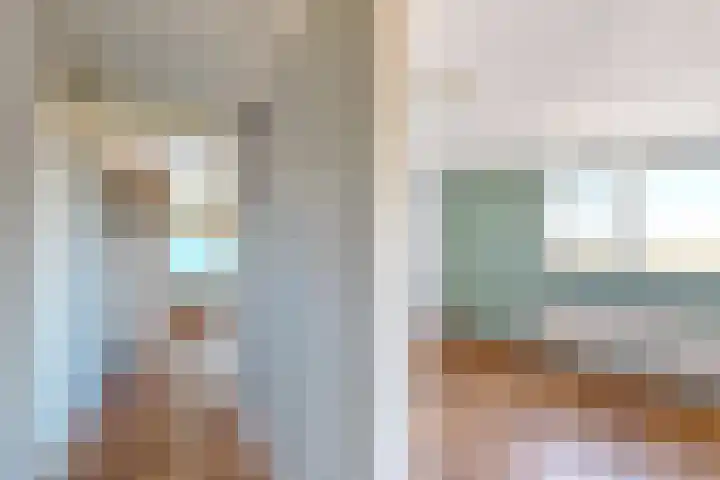 Oudemolensedijk 35 Fijnaart thumbnail 32