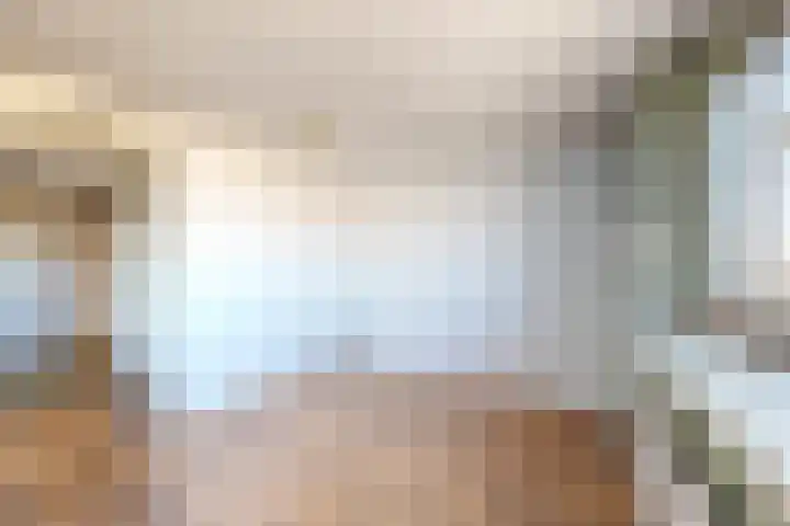 Oudemolensedijk 35 Fijnaart thumbnail 35