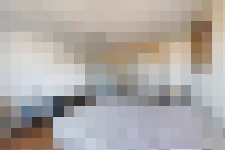 Oudemolensedijk 35 Fijnaart thumbnail 38
