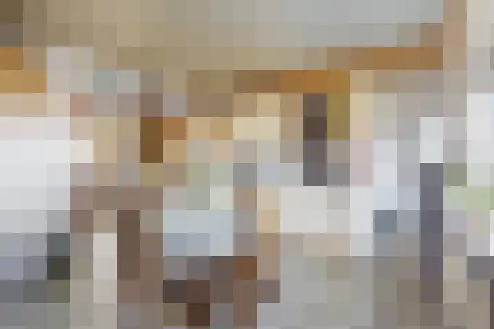 Oudemolensedijk 35 Fijnaart thumbnail 4