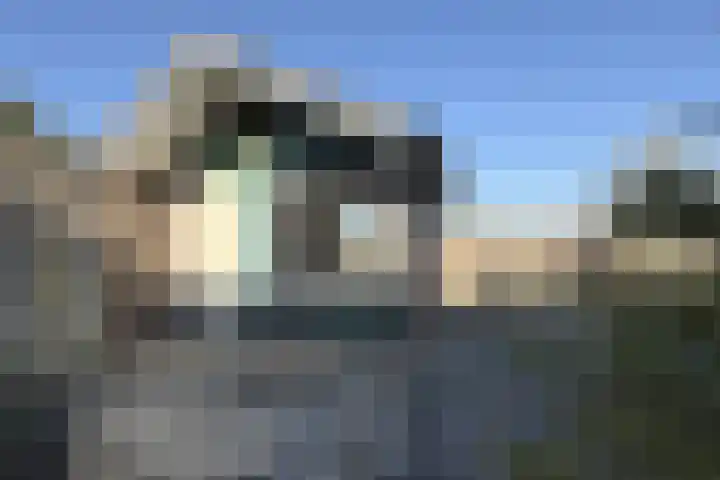 Oudemolensedijk 35 Fijnaart thumbnail 44