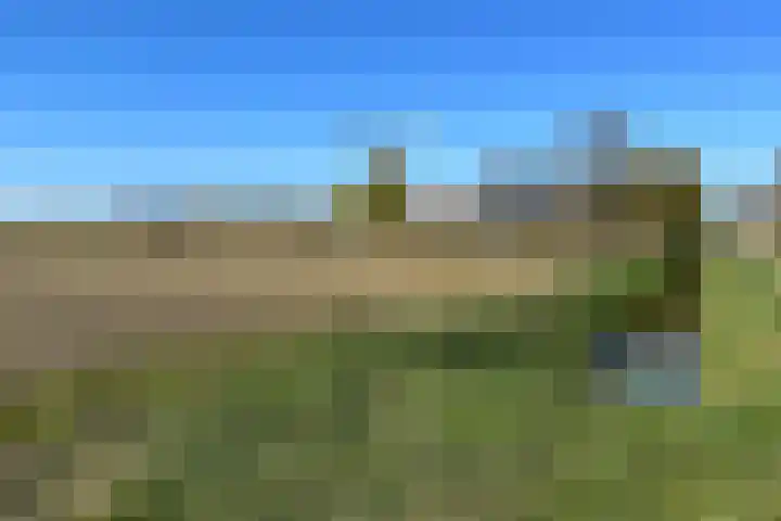 Oudemolensedijk 35 Fijnaart thumbnail 52