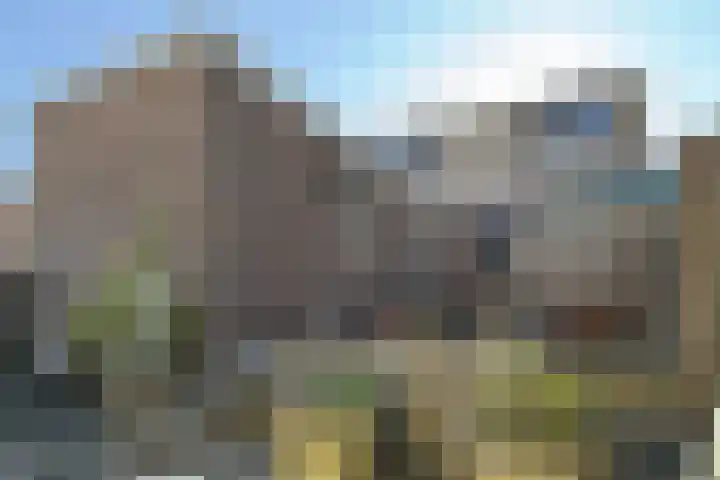 Oudemolensedijk 35 Fijnaart thumbnail 6