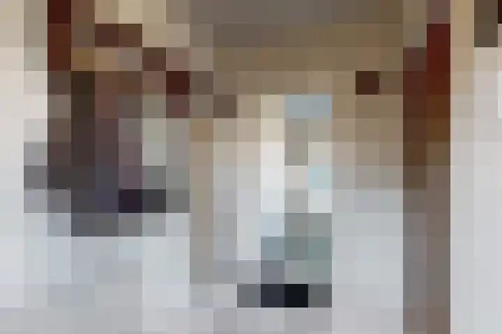 Oudemolensedijk 35 Fijnaart thumbnail 8