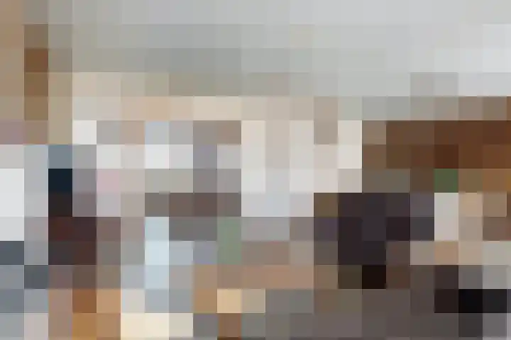 Oudemolensedijk 35 Fijnaart thumbnail 9