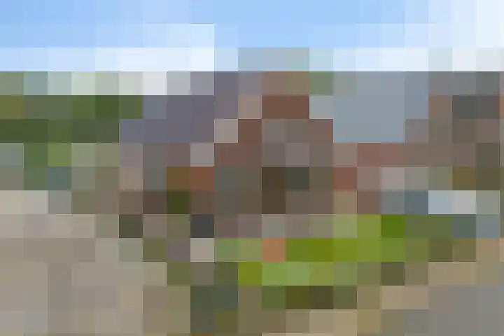 Oudemolenweg 13 De Wilp