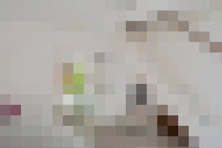 Oudemolenweg 13 De Wilp thumbnail 19