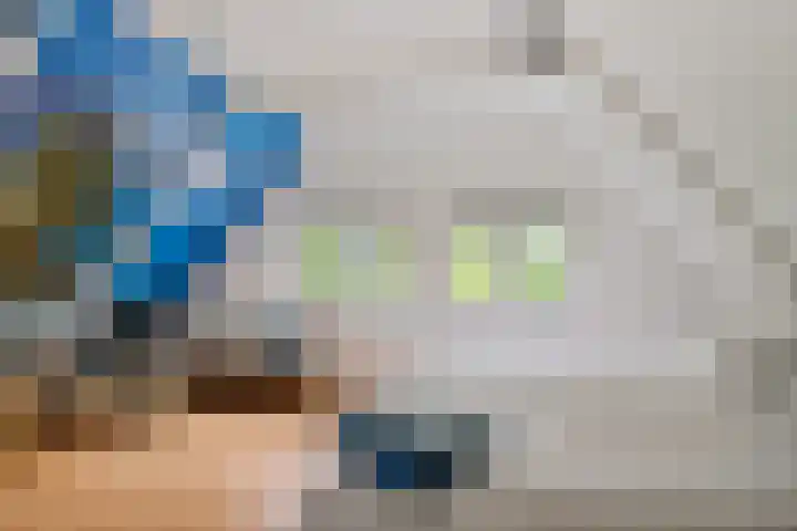 Oudemolenweg 13 De Wilp thumbnail 28