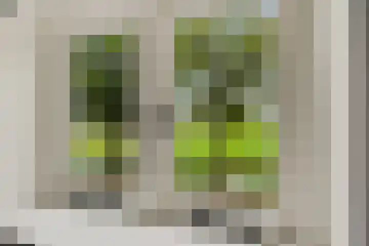 Oudemolenweg 13 De Wilp thumbnail 29