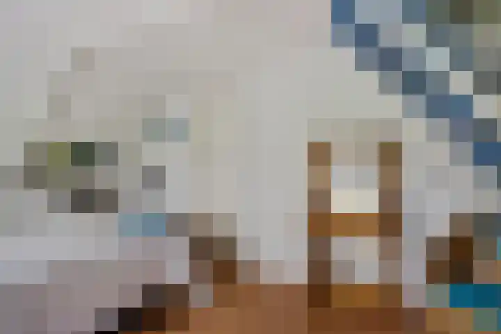 Oudemolenweg 13 De Wilp thumbnail 30