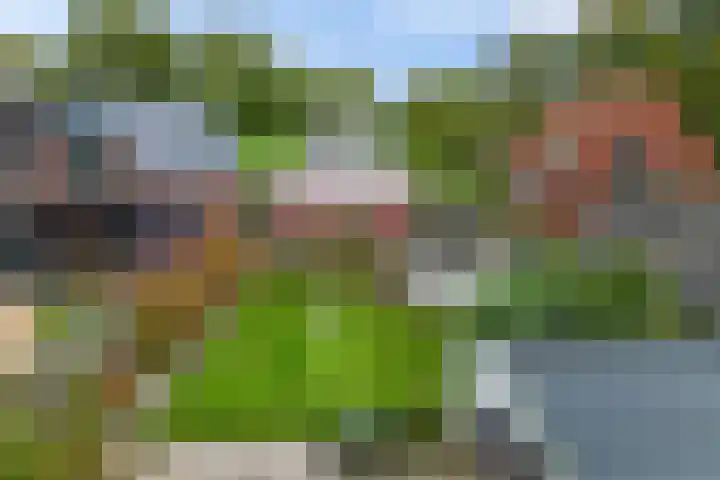 Oudemolenweg 13 De Wilp thumbnail 40