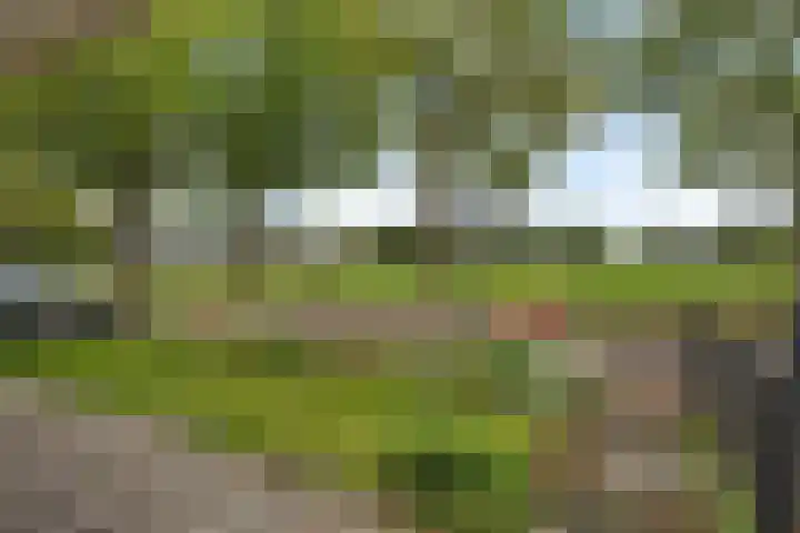 Oudemolenweg 13 De Wilp thumbnail 42