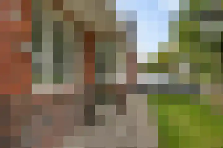 Oudemolenweg 13 De Wilp thumbnail 43