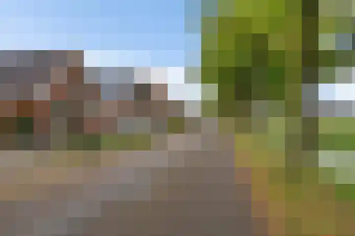 Oudemolenweg 13 De Wilp thumbnail 45