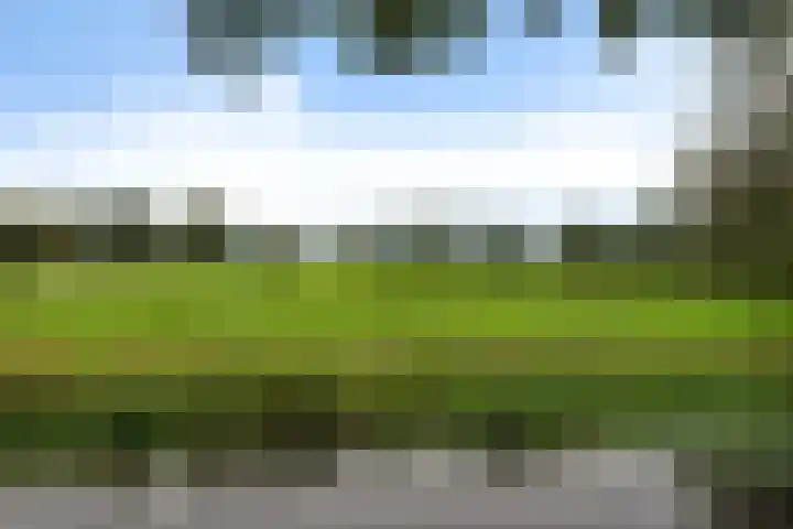 Oudemolenweg 13 De Wilp thumbnail 47