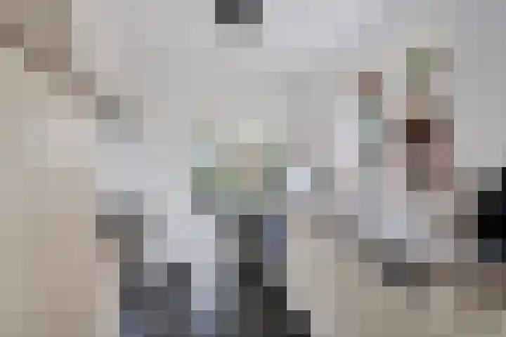 Oudemolenweg 13 De Wilp thumbnail 8