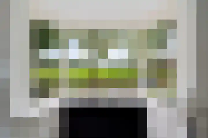 Oudemolenweg 13 De Wilp thumbnail 9