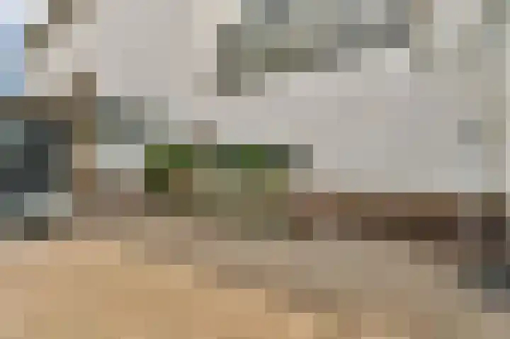 Oudenaardeplantsoen 11 Amsterdam thumbnail 13