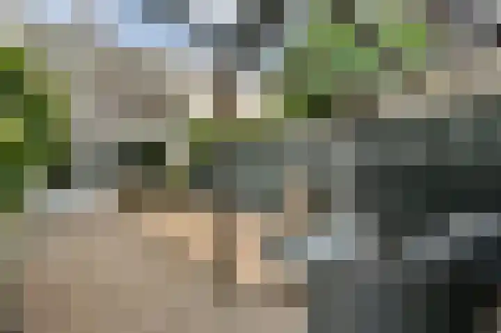 Oudenaardeplantsoen 11 Amsterdam thumbnail 14