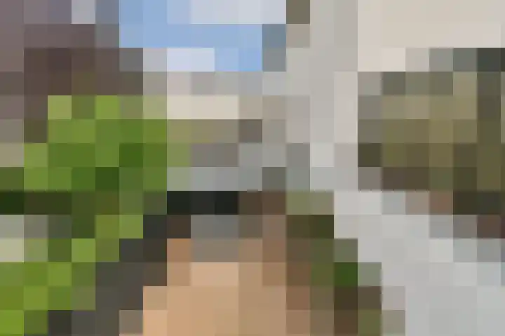Oudenaardeplantsoen 11 Amsterdam thumbnail 23