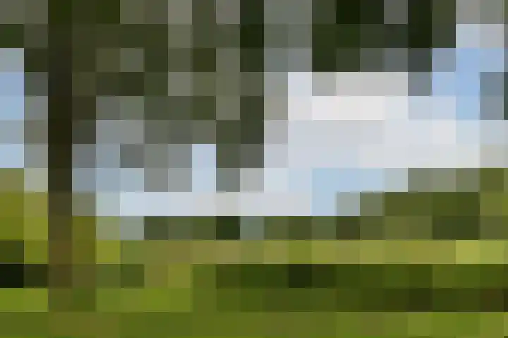 Oudenaardeplantsoen 11 Amsterdam thumbnail 27