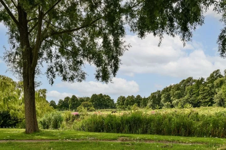 Oudenaardeplantsoen 11 Amsterdam thumbnail 27