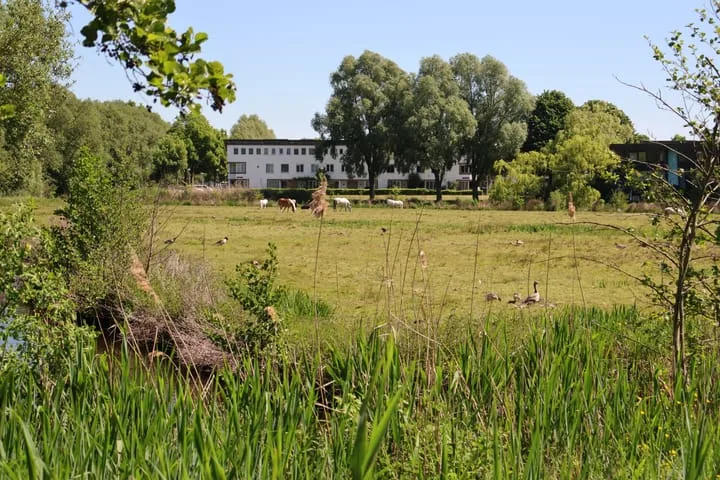 Oudenaardeplantsoen 11 Amsterdam thumbnail 29