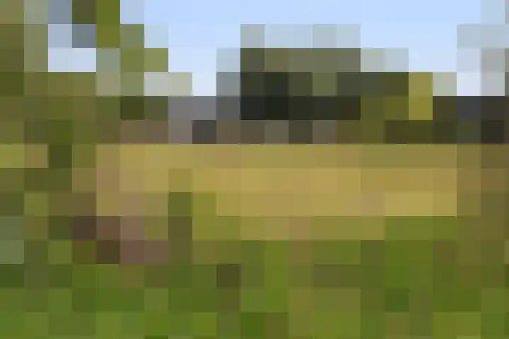 Oudenaardeplantsoen 11 Amsterdam thumbnail 29