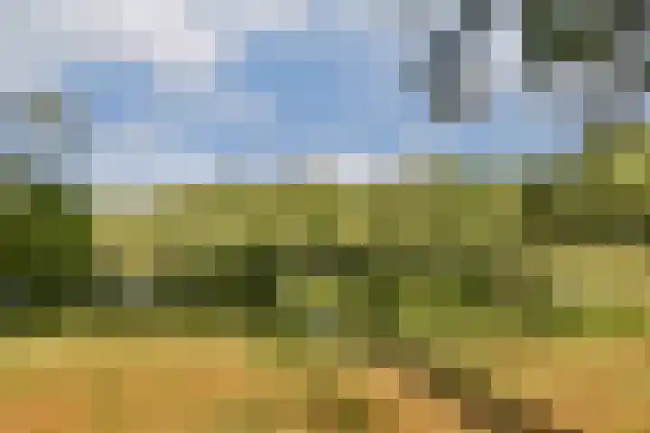 Oudenaardeplantsoen 11 Amsterdam thumbnail 30