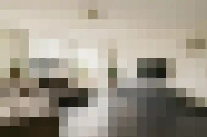 Oudenaardeplantsoen 11 Amsterdam thumbnail 6