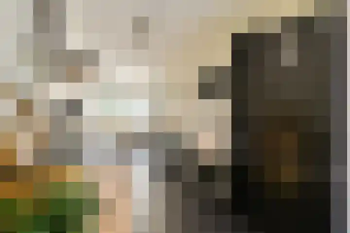 Oudenaardeplantsoen 11 Amsterdam thumbnail 9
