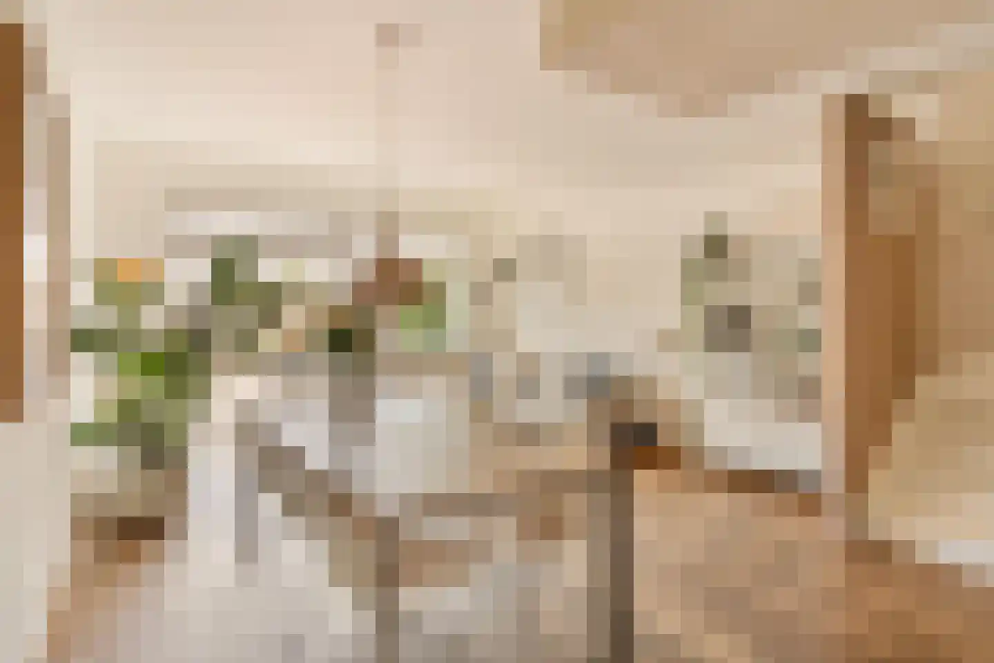 Oudenaardeplantsoen 57 Amsterdam thumbnail 21